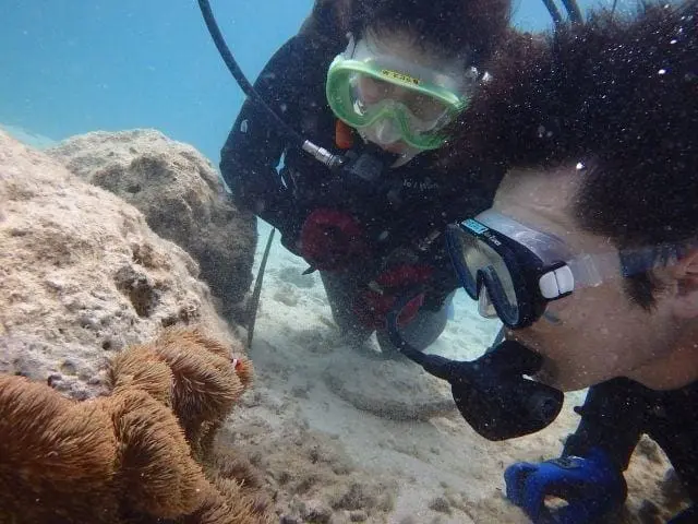 暑い夏は、日本の海で海水浴を楽しもう! ルール・海開き・持ち物・アクティブ