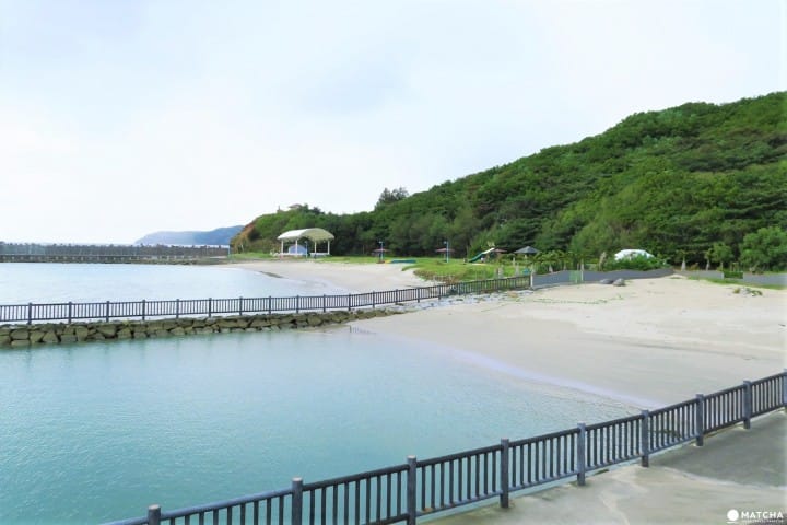 世界自然遺産・小笠原「母島」沖港周辺の歩いて回れるスポットまとめ