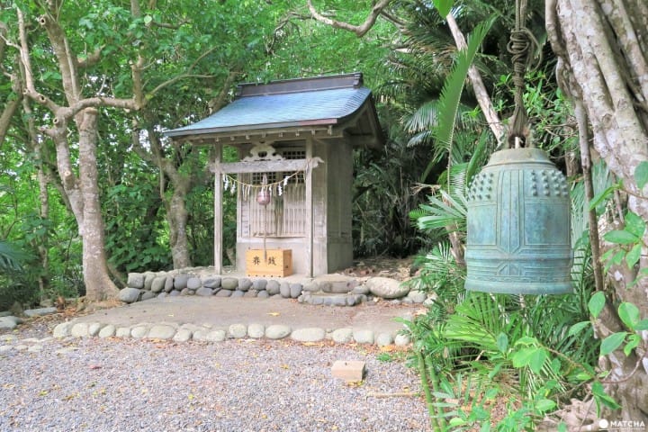 世界自然遺産・小笠原「母島」沖港周辺の歩いて回れるスポットまとめ