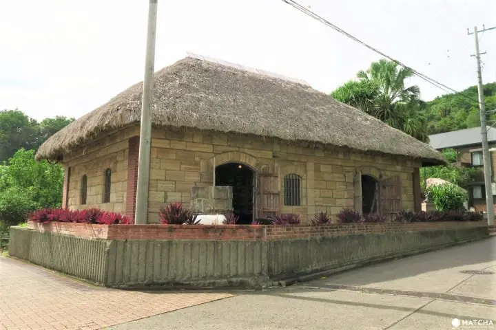 世界自然遺産・小笠原「母島」沖港周辺の歩いて回れるスポットまとめ