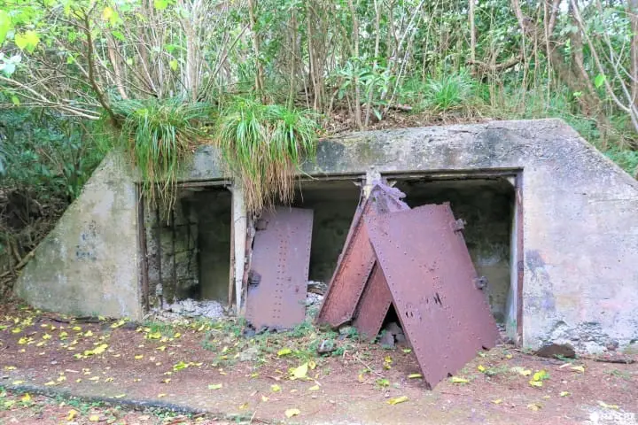 世界自然遺産・小笠原「母島」沖港周辺の歩いて回れるスポットまとめ