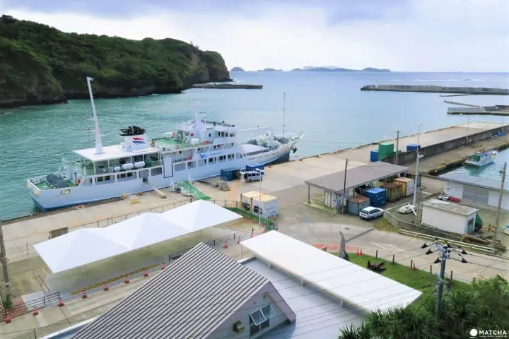 世界自然遺産・小笠原「母島」沖港周辺の歩いて回れるスポットまとめ