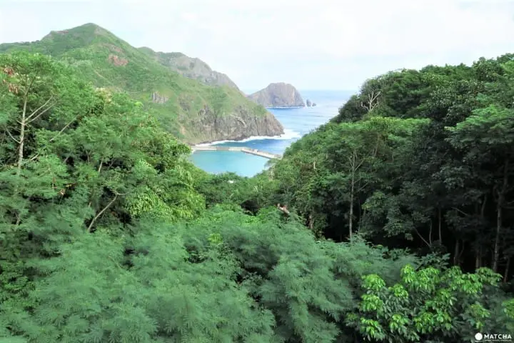 【下書き】世界自然遺産・小笠原最南端の有人島「母島」に残る歴史と自然のスポット