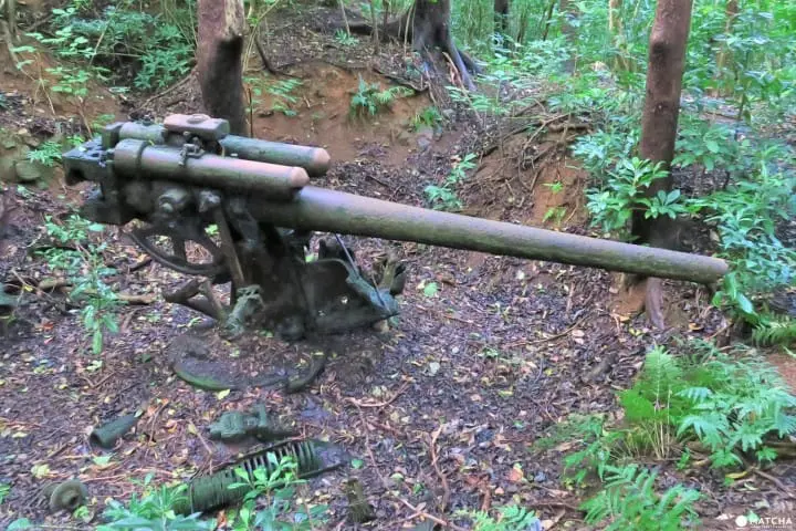 【下書き】世界自然遺産・小笠原最南端の有人島「母島」に残る歴史と自然のスポット