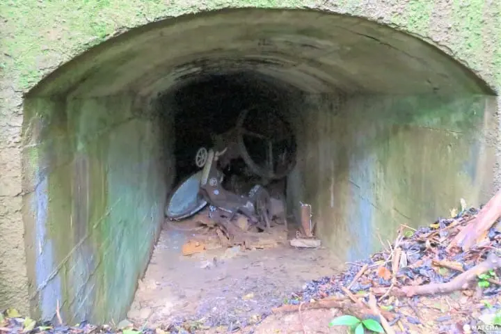【下書き】世界自然遺産・小笠原最南端の有人島「母島」に残る歴史と自然のスポット