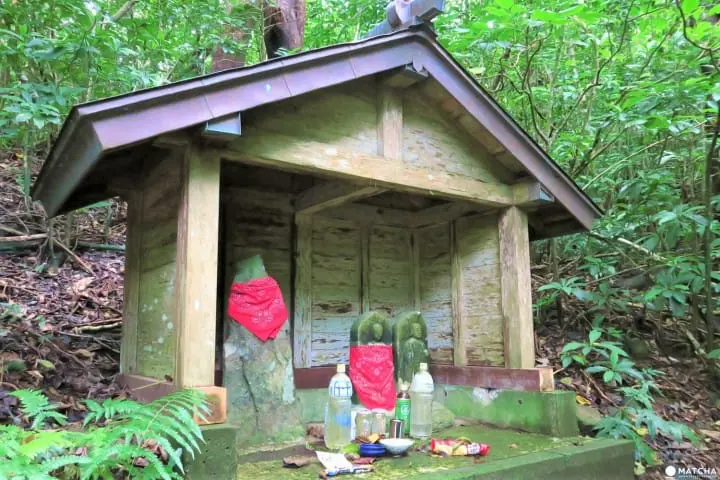 【下書き】世界自然遺産・小笠原最南端の有人島「母島」に残る歴史と自然のスポット