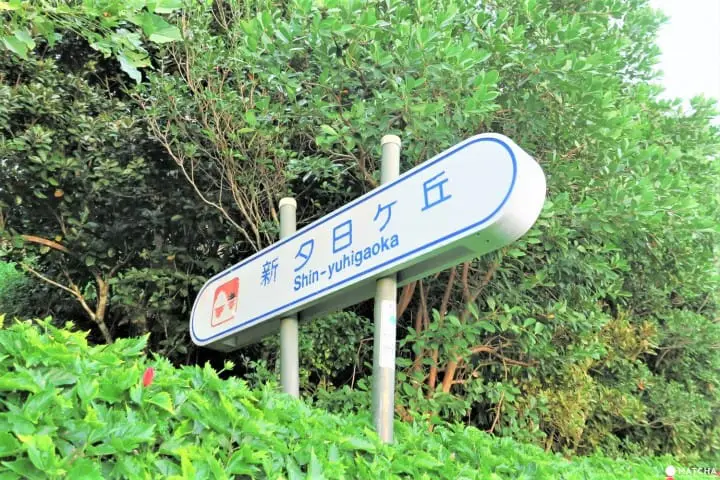 【下書き】世界自然遺産・小笠原最南端の有人島「母島」に残る歴史と自然のスポット