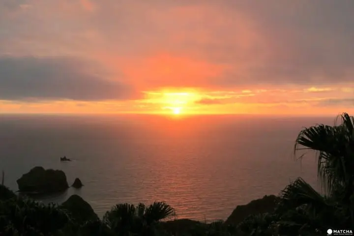 【下書き】世界自然遺産・小笠原最南端の有人島「母島」に残る歴史と自然のスポット