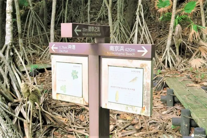 【下書き】世界自然遺産・小笠原最南端の有人島「母島」に残る歴史と自然のスポット