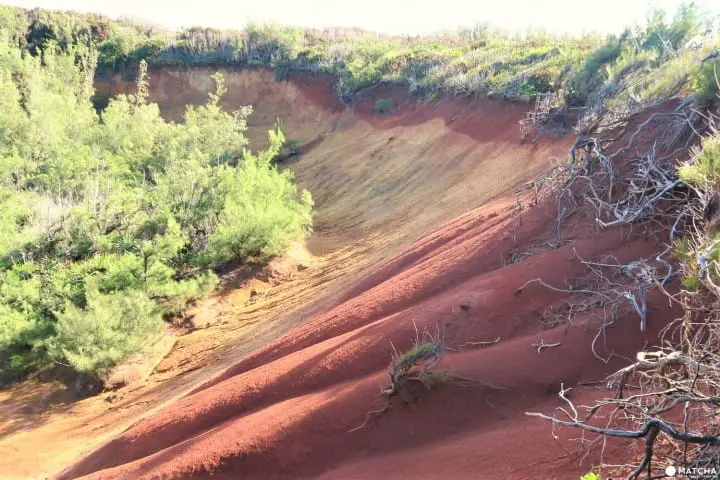 【下書き】世界自然遺産・小笠原最南端の有人島「母島」に残る歴史と自然のスポット