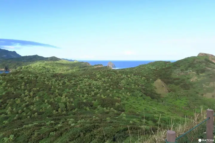 【下書き】世界自然遺産・小笠原最南端の有人島「母島」に残る歴史と自然のスポット