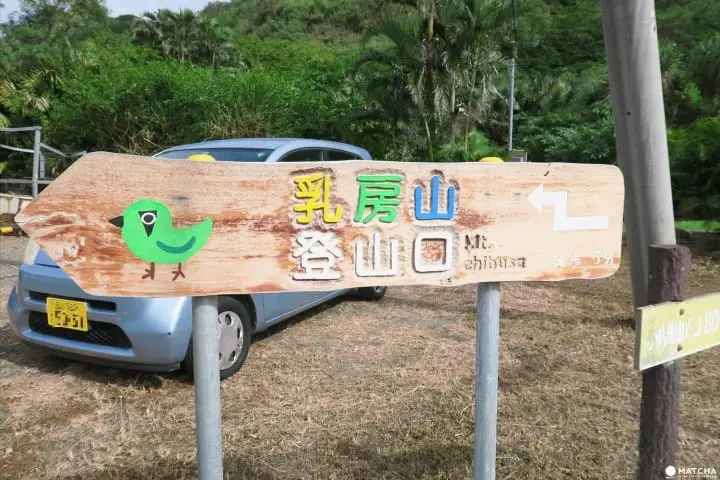 【完成】世界自然遺産・小笠原の自然に觸れる「母島」乳房山でトレッキング