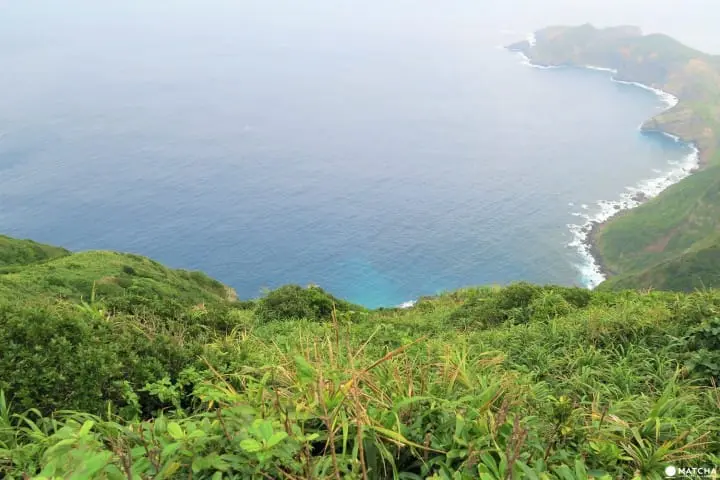 【完成】世界自然遺産・小笠原の自然に觸れる「母島」乳房山でトレッキング