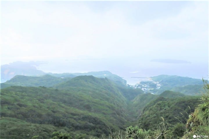 【完成】世界自然遺産・小笠原の自然に触れる「母島」乳房山でトレッキング