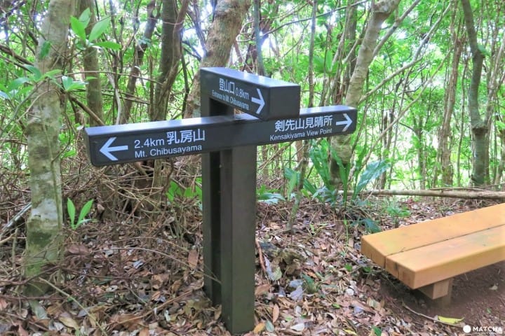 【完成】世界自然遺産・小笠原の自然に触れる「母島」乳房山でトレッキング