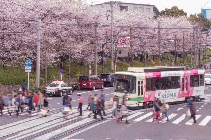 只見在地人不用人擠人的東京私房賞櫻景點五選