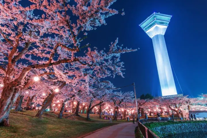 Goryokaku Tower - Enjoy Hakodate City from atop