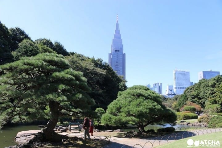 ไกด์นำเที่ยวชินจุกุ (Shinjuku) แบบจัดเต็ม! ตั้งแต่วิธีการเดินทางยันแหล่งช้อปปิ้งและร้านอาหาร