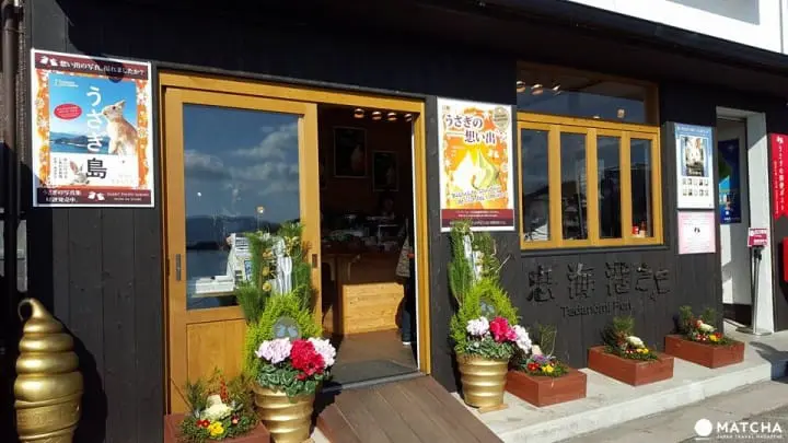 廣島-想被萌萌的兔子們包圍嗎?千萬別錯過了「大久野島」