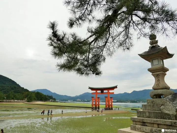從大阪出發去宮島的交通全解！從新幹線・電車到渡船的乘坐方法