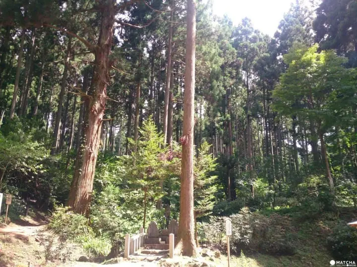 一度に188の神様を参拝できる!!茨城県日立市「御岩神社」