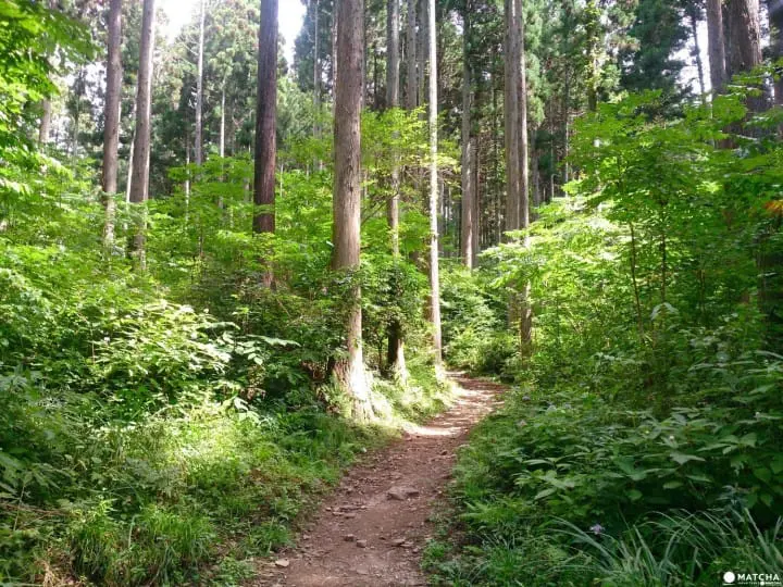 一度に188の神様を参拝できる!!茨城県日立市「御岩神社」