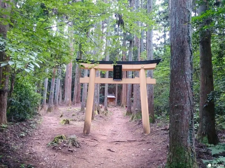一度に188の神様を参拝できる!!茨城県日立市「御岩神社」