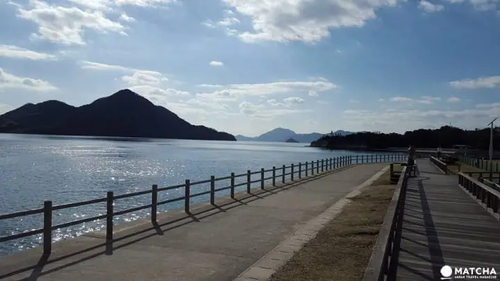 廣島-想被萌萌的兔子們包圍嗎?千萬別錯過了「大久野島」