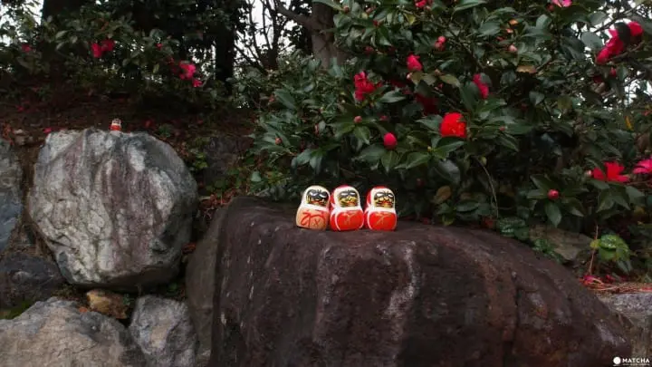 勝運之寺「勝尾寺」參拜 祈求整年好運