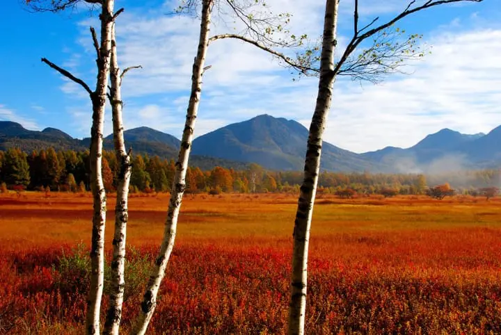 日光汤元温泉への行き方、効能やとオススメの日帰り温泉と旅馆まとめ