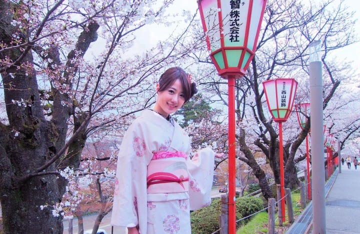 hokuriku cherry blossoms