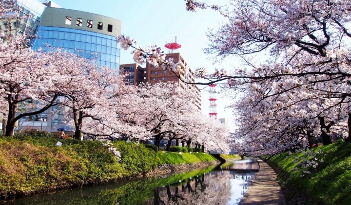 Matsukawa Park