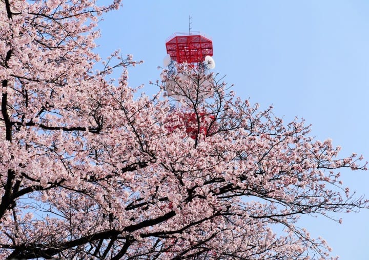 Matsukawa Park
