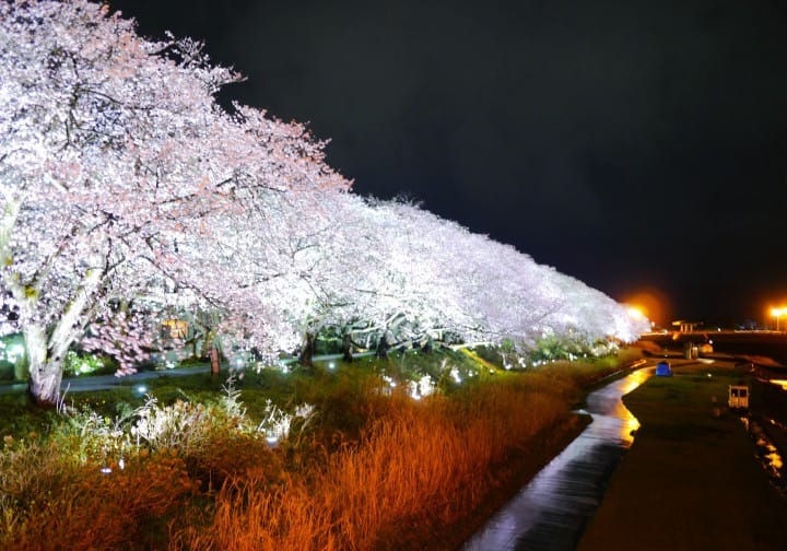Asuwa River