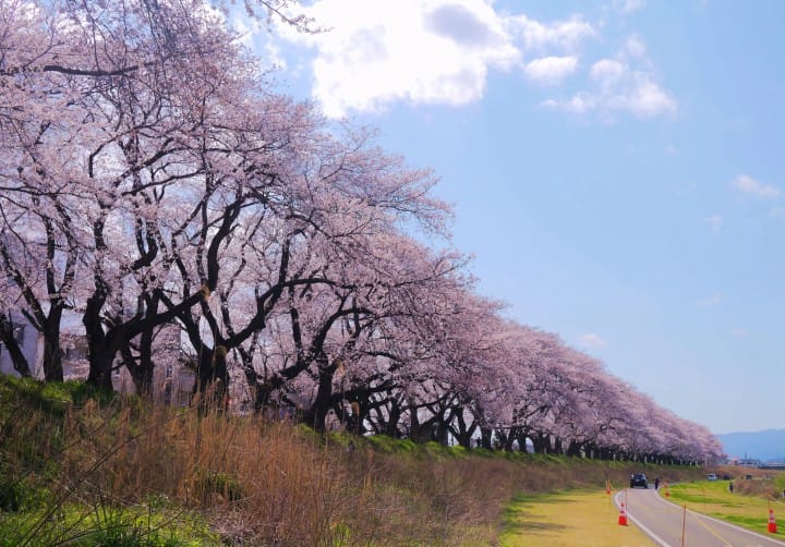 Asuwa River