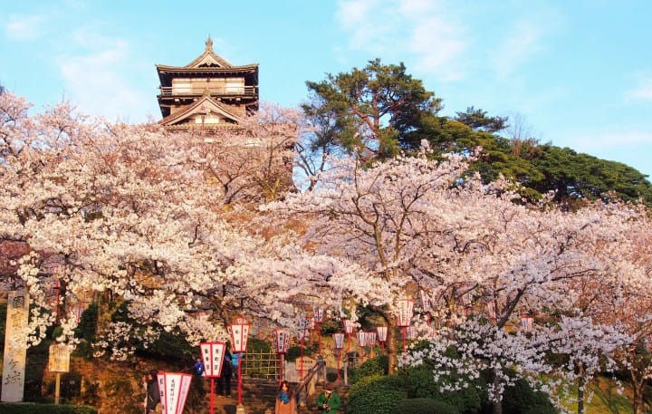 Maruoka Castle