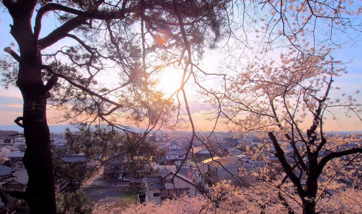 Maruoka Castle