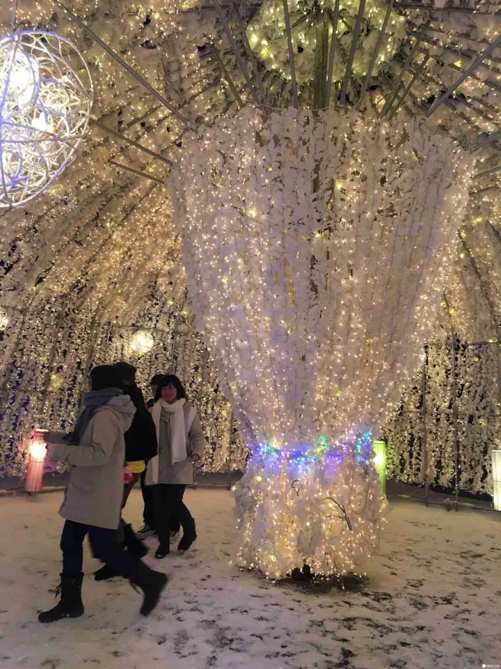 内行人才知道 洞爷湖五大赏雪秘境