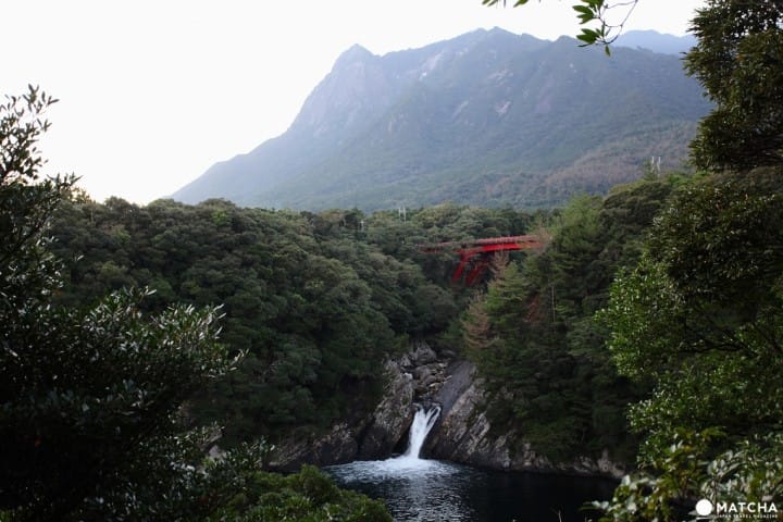 屋久島観光で訪れたいスポット〇選