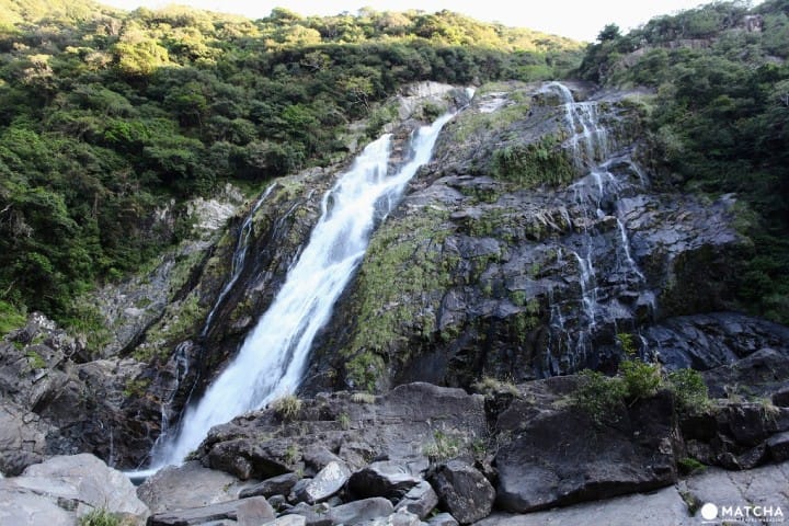 屋久島観光で訪れたいスポット〇選
