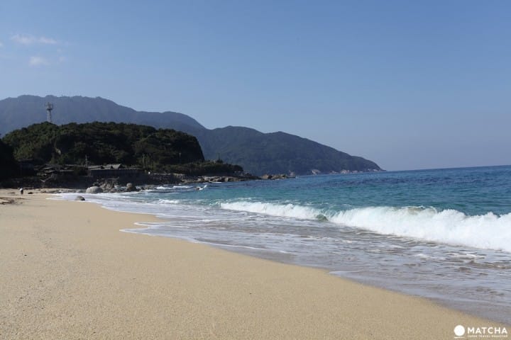 屋久島観光で訪れたいスポット〇選
