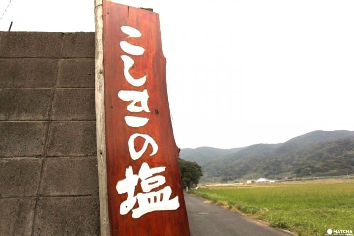 甑島