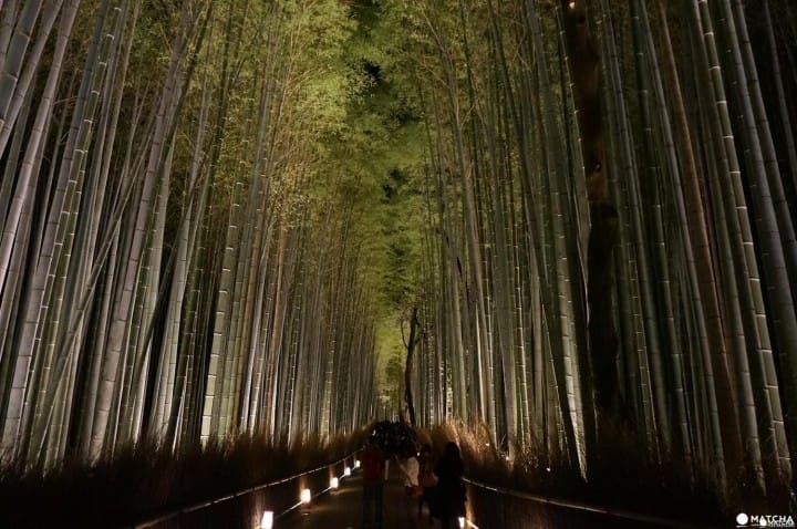 กิจกรรมในฤดูกาลหนาวของเกียวโต การแสดงแสงอันแสนโรแมนติก