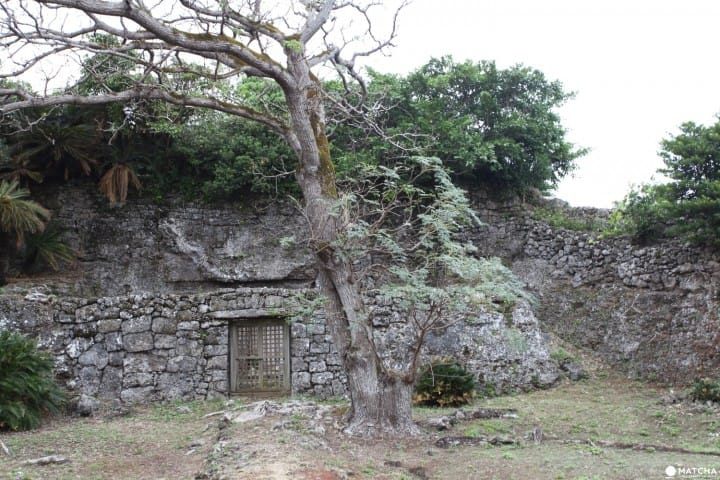 沖永良部島