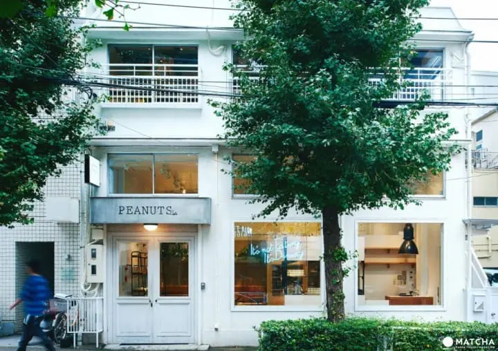 东京赏樱红爆热点：目黑川