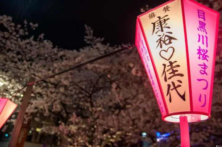 东京赏樱红爆热点：目黑川