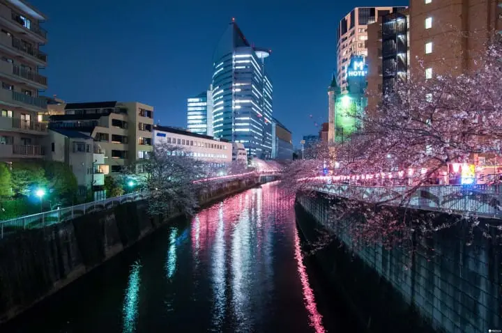 东京赏樱红爆热点：目黑川