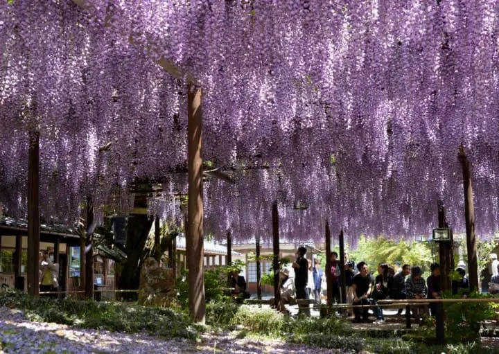 【新潟】江戸時代の生活が垣間見れる館、北方文化博物館