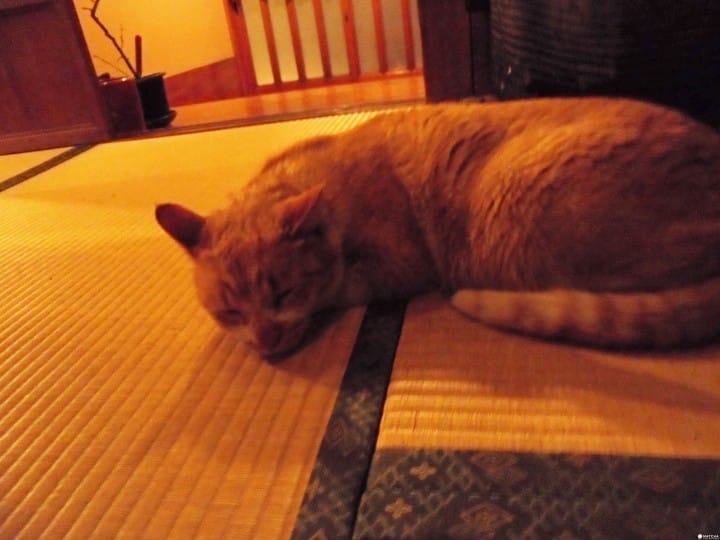 Goro-kichi