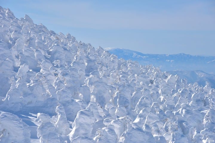 【山形】滑雪、溫泉、樹冰一次滿足!雄偉壯觀的山形「藏王樹冰」!